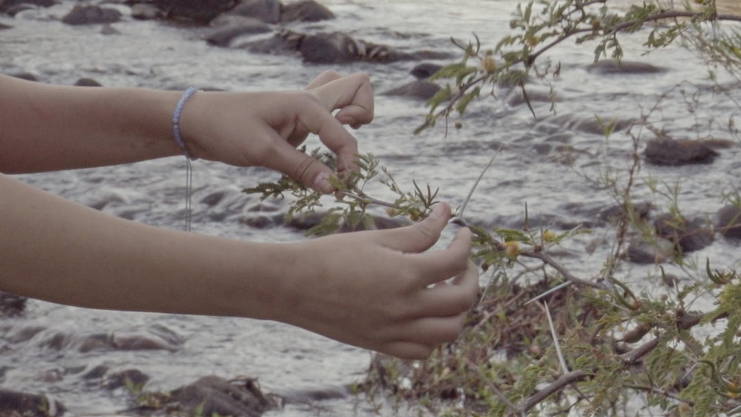 Kuva/Photo: Patricia Carolina